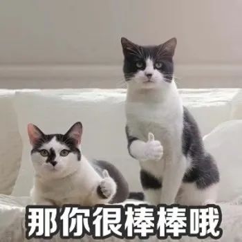 DƬ